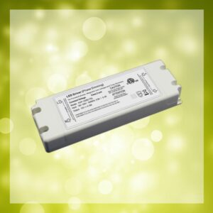 Triac Dimmable 12V Driver (50W) from Glimmer Lighting in Kelowna, BC